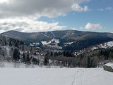 Chalet le bouquetin - 12 personnes - La Bresse Hautes Vosges - Ventron - parc animalier - cerf