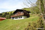 Chalet LL001 La Bresse