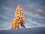 coucher-de-soleil-204178