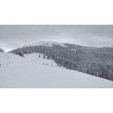 Destination Sport Nature Sortie raquettes-a-neige-au-lac-de-blanchemer La Bresse Hautes Vosges