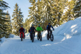 Fat Bike Bureau Montagne Hautes Vosges - La Bresse Hautes Vosges
