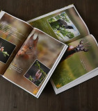Livre Noisette et la Mésange Bleue