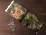  Livre Rosaline La Petite Gourmande