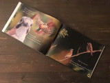  Livre Rosaline La Petite Gourmande