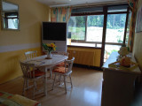 Location vacances Mon Petit Canada Studio 3 personnes tout compris La Bresse Hautes Vosges