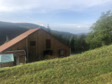 Maison 15 personnes - La Maisonnée Heureuse - La Bresse Hautes Vosges 