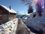 Maison 5 personnes - 85m² - Aux mésanges bleues - La Bresse Hautes Vosges