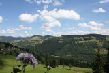 Maison 5 personnes - 85m² - Aux mésanges bleues - La Bresse Hautes Vosges