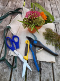 atelier-floral-mediatheque-saulxures-sur-moselotte-1