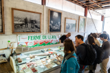 marche-aux-hirondelles-2