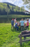 apres-midi-ferme-poneys-complicites-animales-3