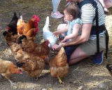visite-gouter-a-la-ferme-ventron-3