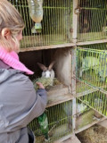 les-ateliers-de-la-ferme-complicites-animales-ventron-2