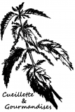les-plantes-et-leurs-usages-thiefosse-2