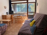 Studio - 28m² - 4 personnes La Bresse Hautes Vosges