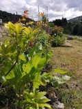 Appartement 6 personnes La Bresse-Hautes Vosges