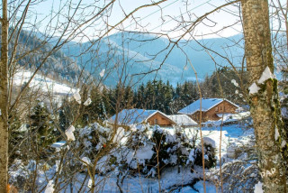 Chalet le bouquetin - 12 personnes - La Bresse Hautes Vosges - Ventron - parc animalier - cerf