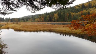 Le lac de Lispach à l'automne à La Bresse Hautes-Vosges