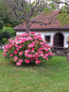 Maison 10 personnes La Marcairie LA Bresse Hautes Vosges