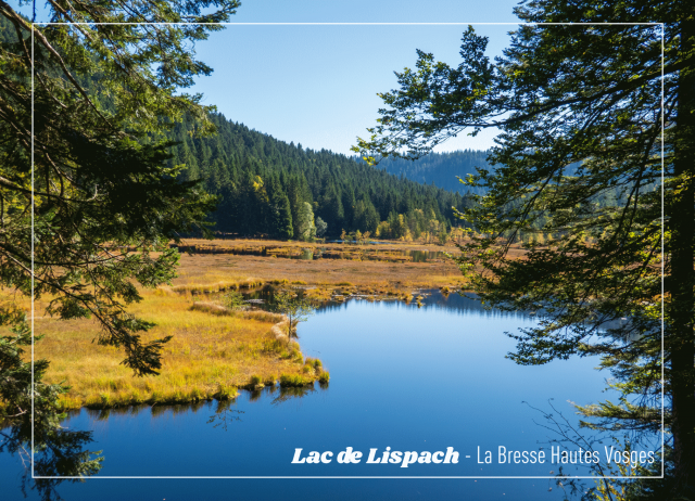 Carte postale La Bresse Hautes Vosges- Lac de Lispach