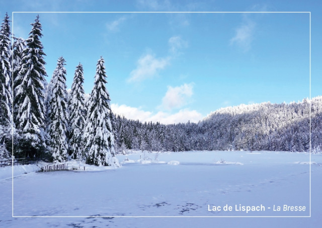 Carte postale - Lac de Lispach en hiver La Bresse