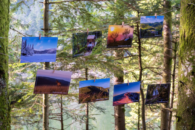 Cartes Postales La Bresse Hautes Vosges OTCLBHV G Bervard