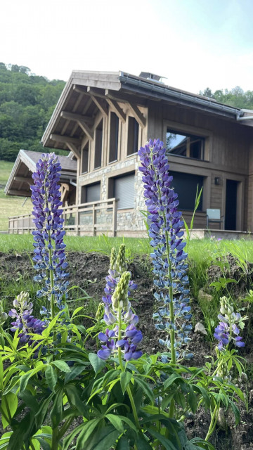 Chalet l'eldorado 15 personnes La Bresse Hautes Vosges