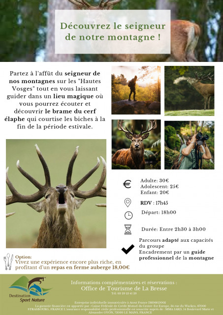Découverte du brame du cerf - La Bresse hautes Vosges - Destination Sports Nature - Col de la Schlucht