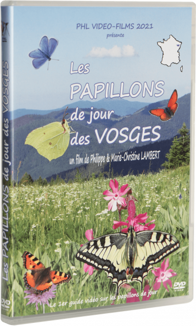 DVD Papillons de jour des Vosges