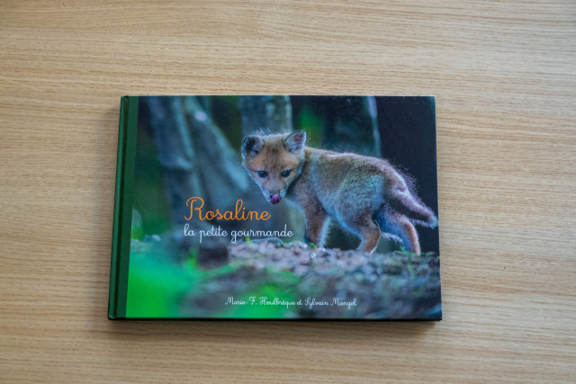  Livre Rosaline La Petite Gourmande