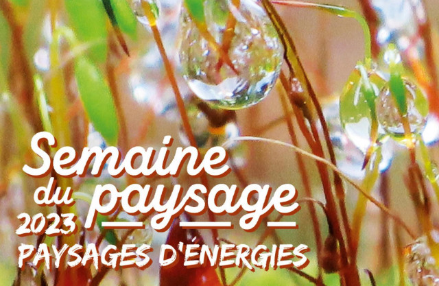 semaine-paysage-folk-energie-panrees-cornimont-1