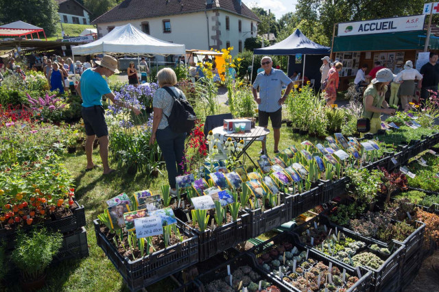 marche-aux-plantes-sapois-2