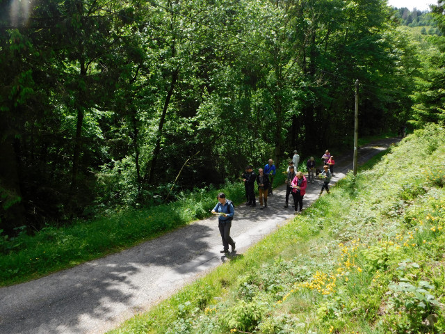 baladetissee-ventron-1