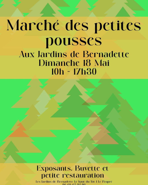 artisanat-sapois-1
