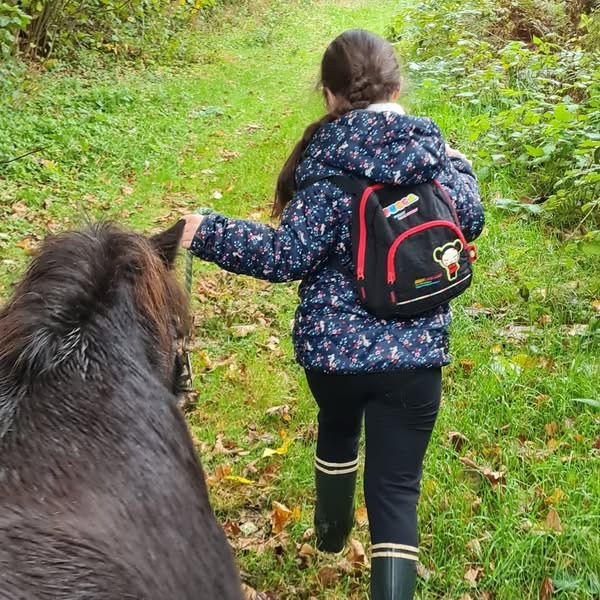 apres-midi-ferme-poneys-complicites-animales-1