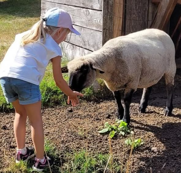 visite-gouter-a-la-ferme-ventron-1