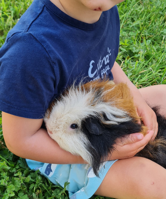 Les-ateliers-pour-les-tout-petits-Complicites-animales-Ventron-1