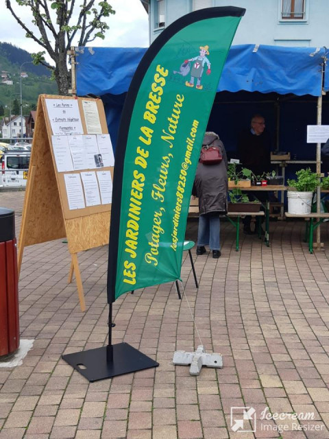bourse-aux-plantes-la-bresse-1