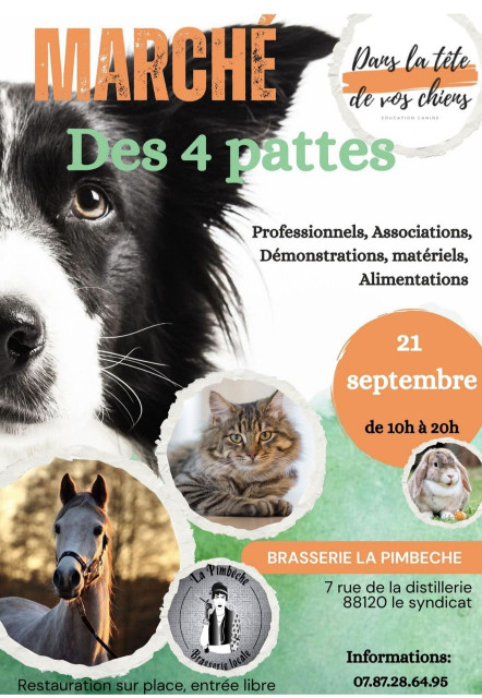 marche-le-syndicat-1