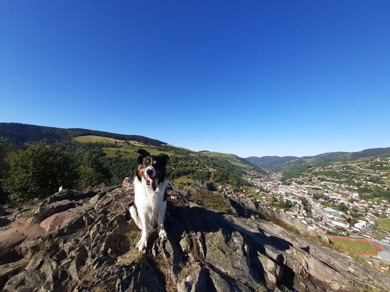 La Bresse Réservation Votre location Chiens et Chats sont les bienvenues